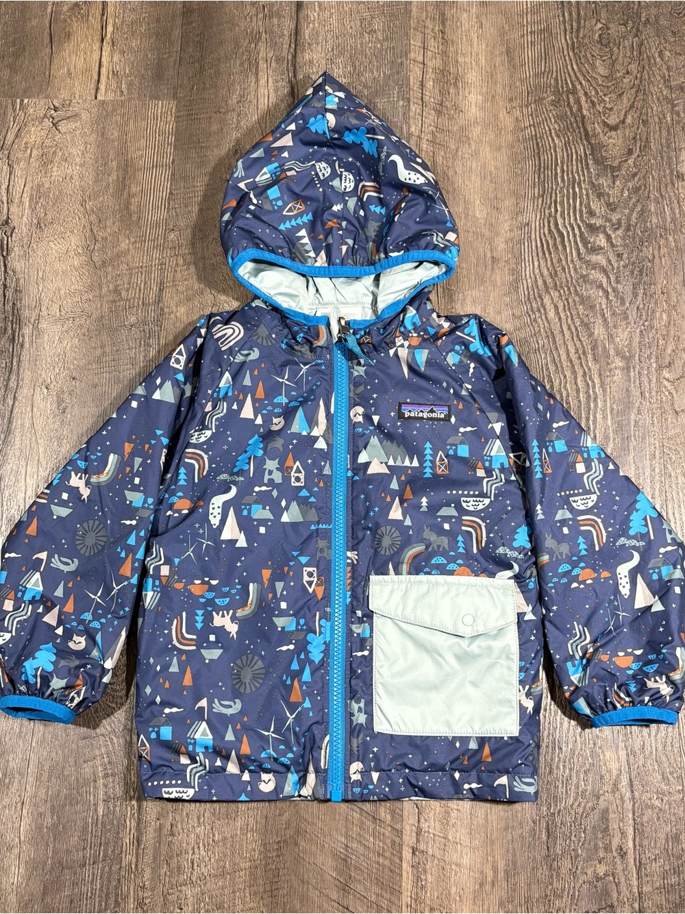 PATAGONIA Puff-Ball Reversible Jacket